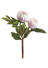 Load image into Gallery viewer, Blush Pink Silk Peony Flower Spray - 22&quot;
