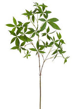 Load image into Gallery viewer, Fake Chinese Money Plant Leaves - 33&quot;
