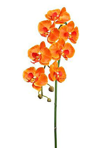 Artificial Phalaenopsis Orchids in Orange - 36"