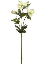 Load image into Gallery viewer, Hellebore Artificial Flowers in Light Green
