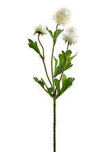 Load image into Gallery viewer, Cream Mini Ranunculus Fake Flowers - 16.5&quot;
