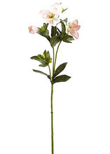 Load image into Gallery viewer, Light Pink Helleborus Fake Flowers
