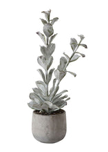 Load image into Gallery viewer, Artificial Succulent Plant in Cement Pot - 23.5&quot;

