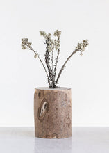 Load image into Gallery viewer, Edelweiss Dried Flowers in Cream
