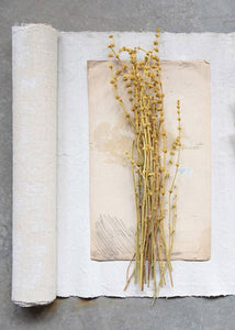 Dried Leonurus Motherwort Herbs in Mustard - 23"