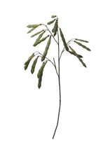 Load image into Gallery viewer, Fake Hanging Green Bean Pods Branch - 36&quot;
