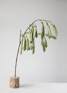 Fake Hanging Green Bean Pods Branch - 36"