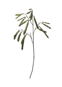 Fake Hanging Green Bean Pods Branch - 36"