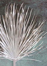 Load image into Gallery viewer, Pack of 5 - Dried Palms in Metallic Silver
