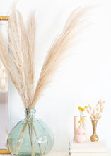 Load image into Gallery viewer, Pack of 10 - Dried Billy Buttons - Craspedia in Natural Yellow
