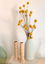 Load image into Gallery viewer, Pack of 10 - Dried Billy Buttons - Craspedia in Natural Yellow
