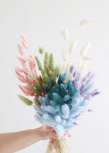 Dried Bunny Tail in Lavender