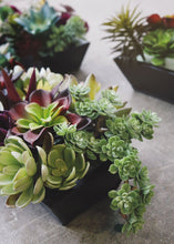 Load image into Gallery viewer, Latex Sedum Pick in Dusty Green - 5" Tall
