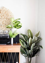 Load image into Gallery viewer, Fake Potted Cordyline Palm Floor House Plant - 40&quot;
