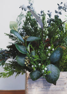 Artificial Silver Dollar Eucalyptus Bush in Grey Green - 9" Tall
