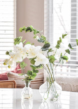 Load image into Gallery viewer, Real Touch Phalaenopsis Orchids in Cream Green - 28" Tall
