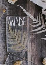 Load image into Gallery viewer, Pack of 5 - Preserved Ferns in Cream
