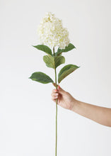 Load image into Gallery viewer, Cream Artificial Oakleaf Hydrangea Flowers - 34.5&quot;
