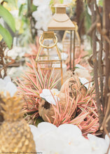 Load image into Gallery viewer, Artificial Dracaena Grass Plant in Variegated Pink - 9.5&quot; Tall
