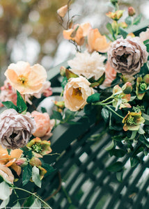 Helleborus Flower in Green Burgundy
