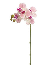 Load image into Gallery viewer, Real Touch Phalaenopsis Orchid in Light Pink - 28" Tall
