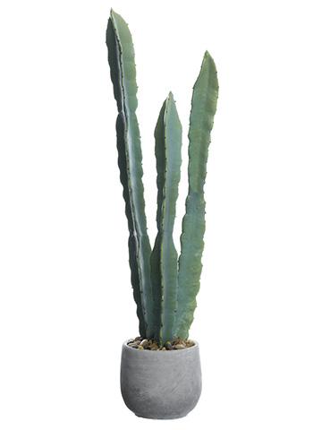 Artificial Cactus House Plant in Pot - 25
