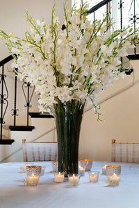 Dendrobium Silk Orchid Spray in Cream - 35.5" Tall