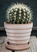 Load image into Gallery viewer, Antique Pink Terracotta Pot and Saucer - 6&quot; Tall x 6.25&quot; Wide with Drainage
