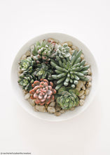 Load image into Gallery viewer, Artificial Spike Aeonium Succulent Pick in Green - 3.5&quot; Wide
