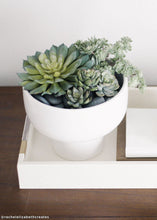 Load image into Gallery viewer, Orion Compote Flower Pot - 6.5"

