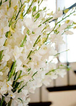 Load image into Gallery viewer, Artificial Dendrobium Orchid in Cream White 30&quot;
