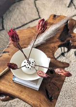 Load image into Gallery viewer, Pack of 6 - Dried Flower Protea Repens in Red Orange
