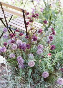 Artificial Allium Flower in Lavender - 17.5"