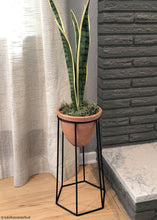 Load image into Gallery viewer, Outdoor/ Indoor Artificial Snake Plant - 24&quot;
