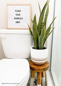 Artificial Indoor/Outdoor Potted Snake Plant - 24" Tall