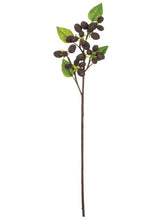 Load image into Gallery viewer, Artificial Mulberry Stem - 23&quot;
